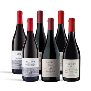 Caja Mix Pinot Noir - Caja x 6