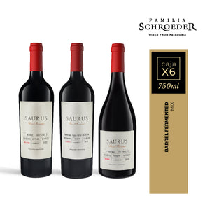 Caja Mix Barrel Fermented  - Caja x 6